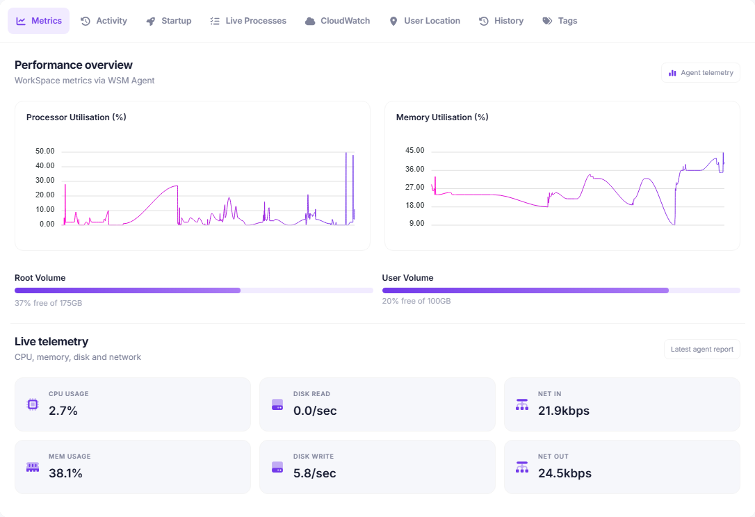 WorkSpaces Manager performance metrics for a single WorkSpace: processor and memory charts, volume usage and live telemetry